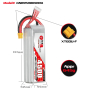 Аккумулятор GAONENG GNB 4500 мАч 6S 22,2 в 110C 220C XT60 RC LiPo